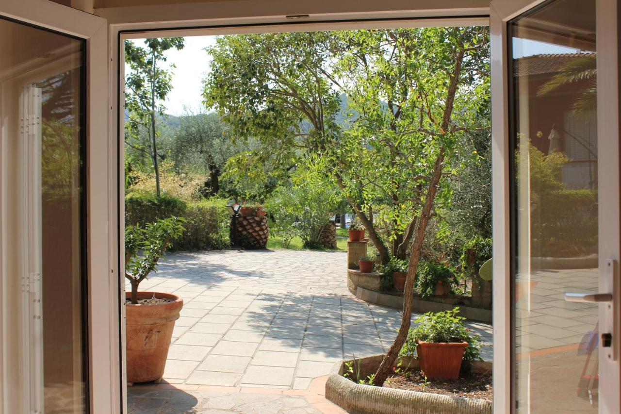 Agriturismo Buen Camino Scarlino Eksteriør bilde