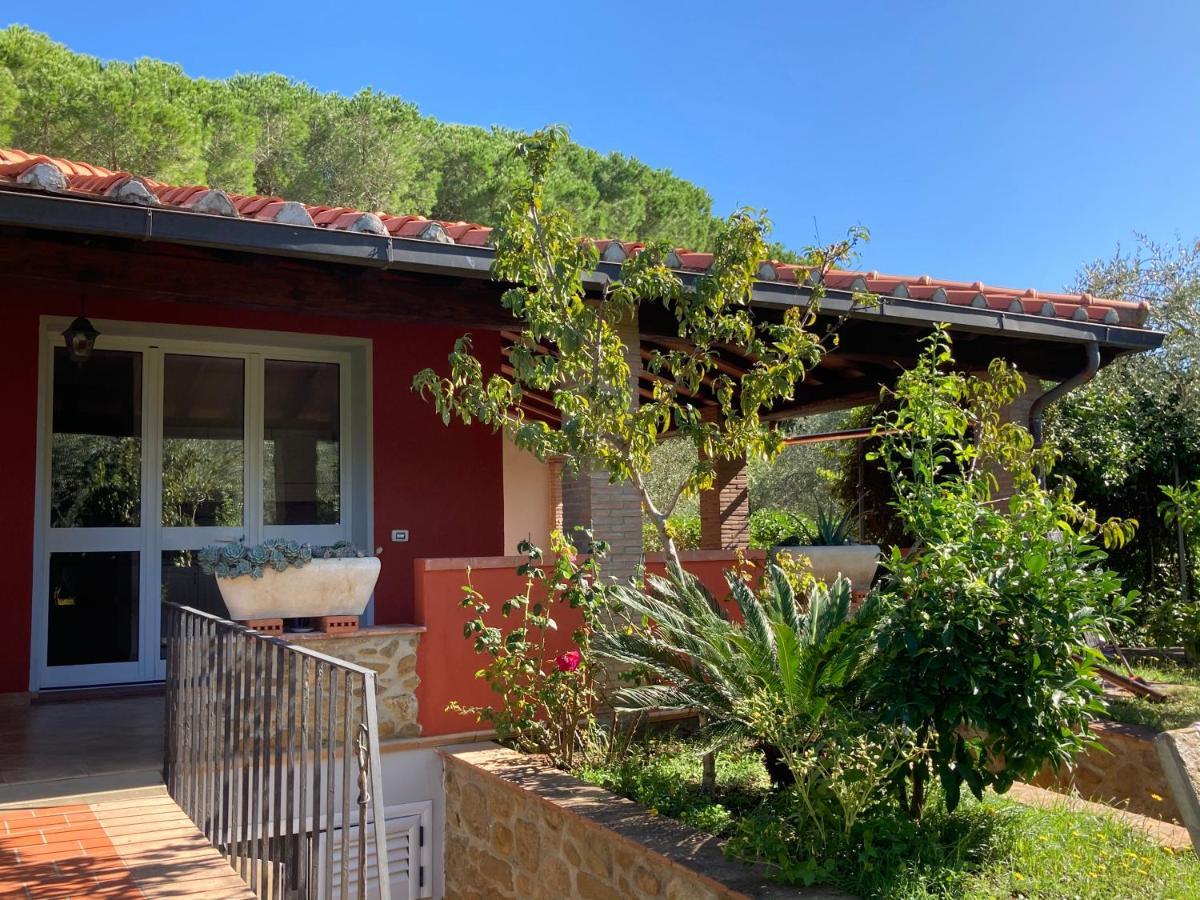 Agriturismo Buen Camino Scarlino Eksteriør bilde